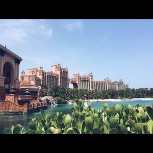 Meet your Posher, Allison